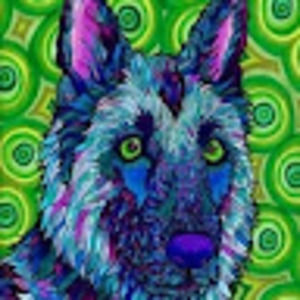 Meet your Posher, Devin